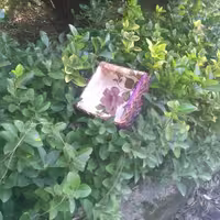 سبد نان وسبزی حصیری(سریر)مربع شکل