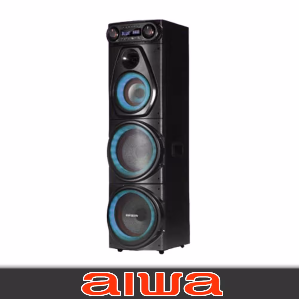 اسپیکر آیوا مدل 1101 پرو (AW-X1101DSP PRO) 2 ساب 10 اینچ