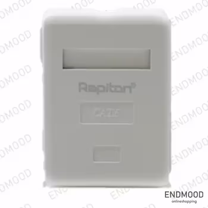 سرفیس باکس روکار رپیتون Cat6 مدل Surface Box