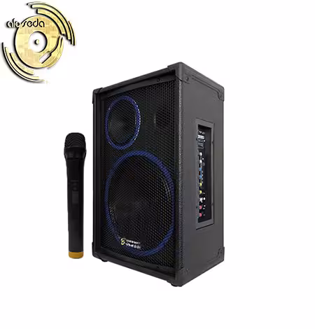 اکو همراه باسیم برین صوت Barin 12250 با میکروفن