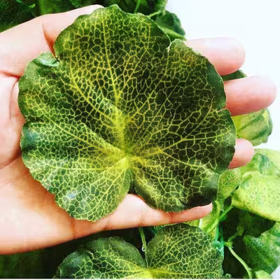 گل مصنوعی مدل شمعدانی