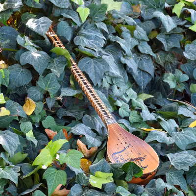 سه تار ایران ساز مدل شمع و پروانه