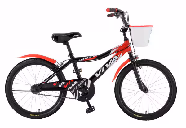 دوچرخه ویوا Arthur سایز 20