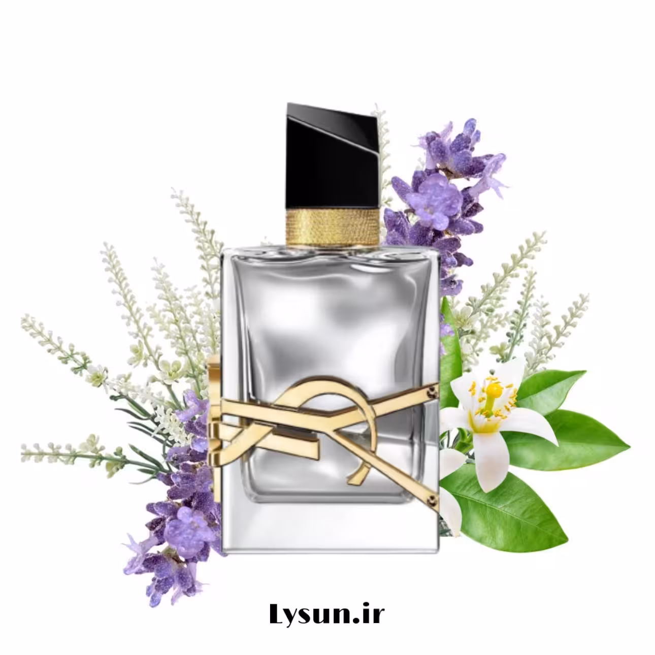 لیبره ل ابسولو کد 907