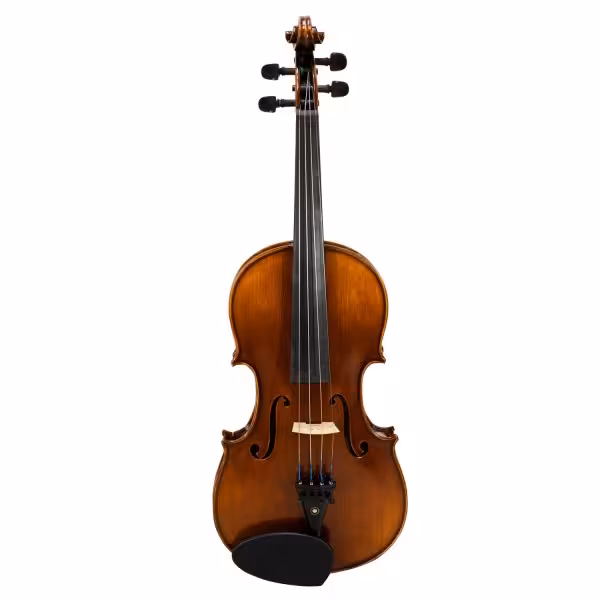 ویولن تی اف 00800 سایز 4/4TF 00800 Size 4/4 Violin