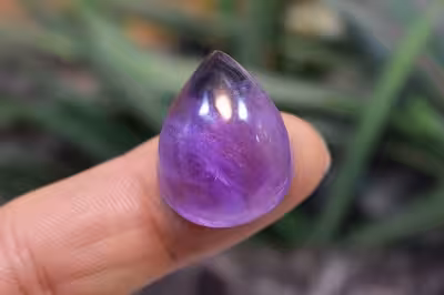 امتیست دامله(کاپوشی)