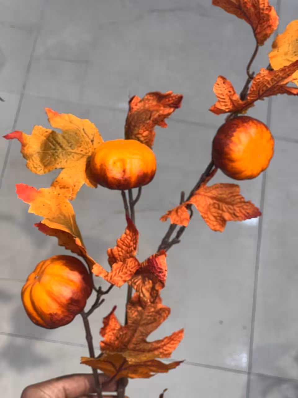 شاخه کدو تزئینی 3میوه برگ دار درجه1 وارداتی (ویژه یلدا)