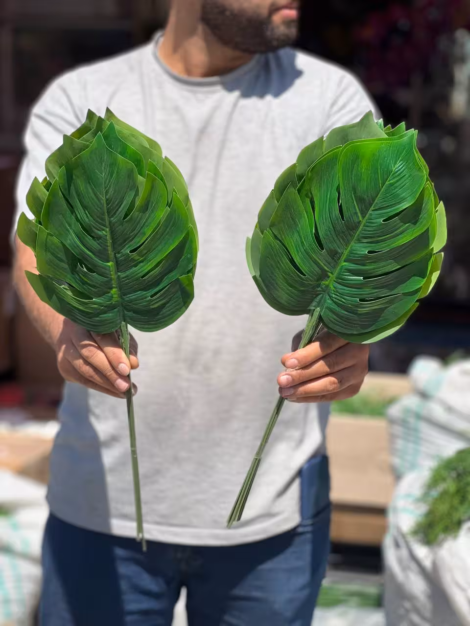 برگ مصنوعی برگ انجیری یک عددی