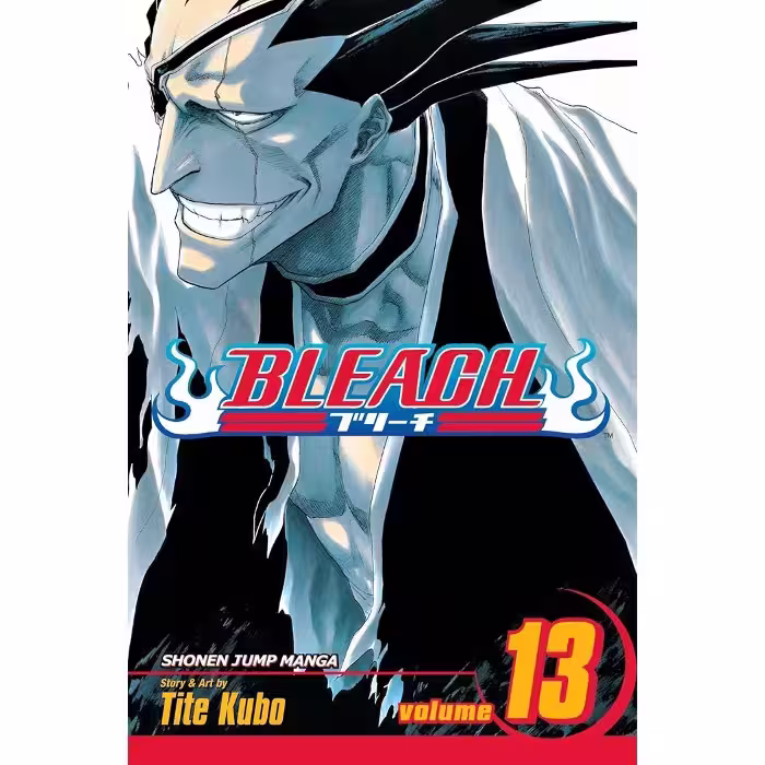 Bleach v13