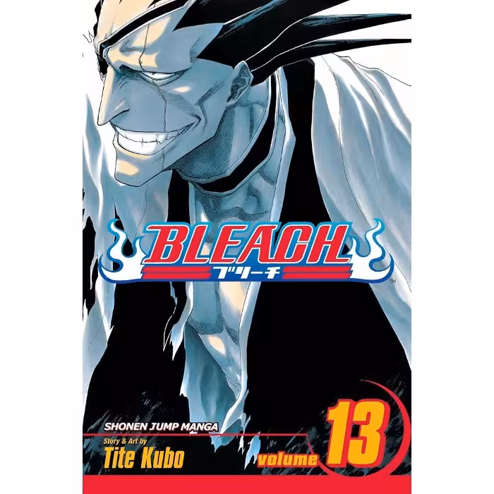 Bleach v13