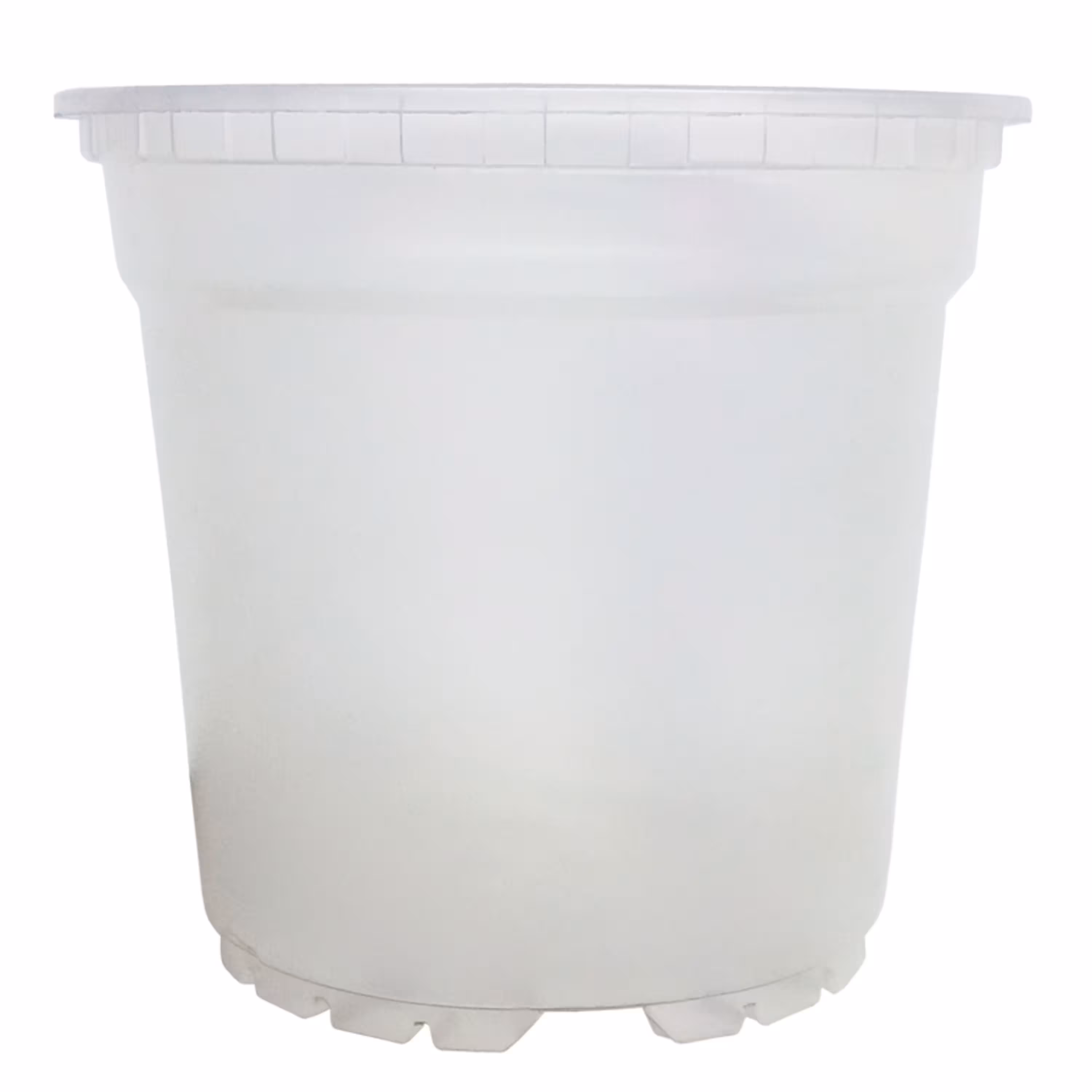 گلدان ژله ای مخصوص ارکیده سایز 12 بسته 5 عددی