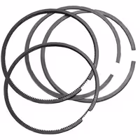 رینگ موتور سایز استاندارد جیلی شاسی امگرند X7