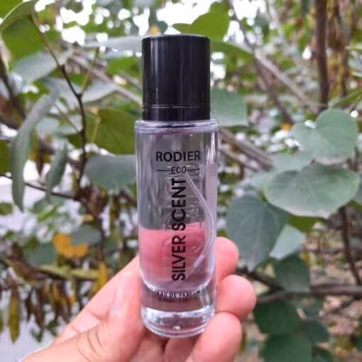 ادکلن مردانه رودیر مدل سیلورسنت SILVER SECRET حجم 30