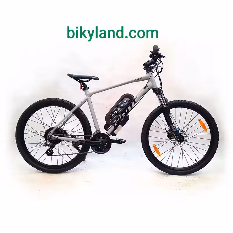 دوچرخه برقی جاینت رینکون RINCON 1 سایز 27.5E2750309