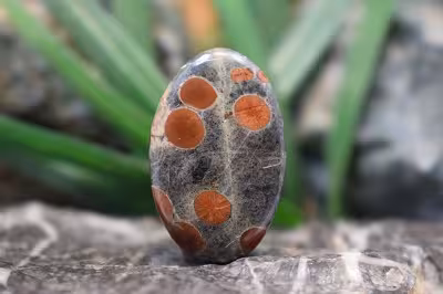 پینت وود ابسیدین