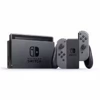 Nintendo Switch with Grey Joy-Con