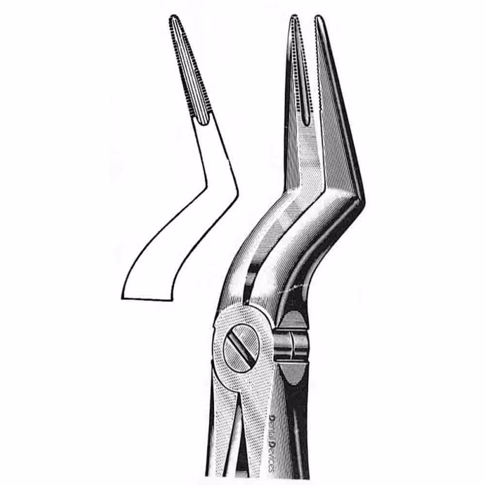 فورسپس ریشه کش بالا ویژه دنتال دیوایس | Dental Devices