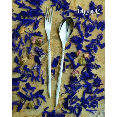 سرویس قاشق چنگال 161 پارچه رزنباخ مدل 500m