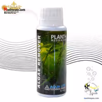 ضد خزه و جلبک آکواریوم آلگ ریمور آکوا لایف