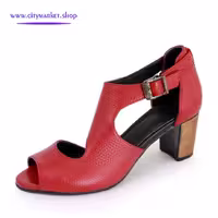 کفش مجلسی زنانه مدل آیسو R874