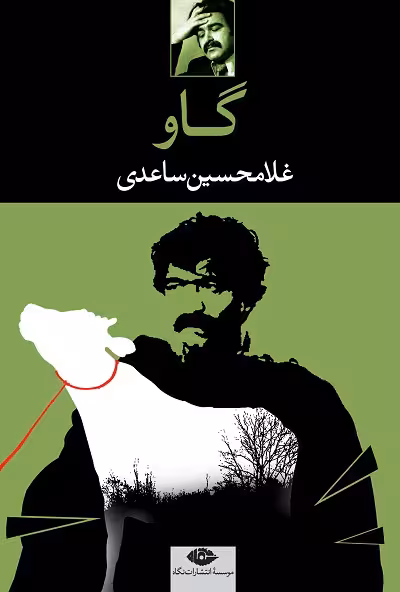 گاو