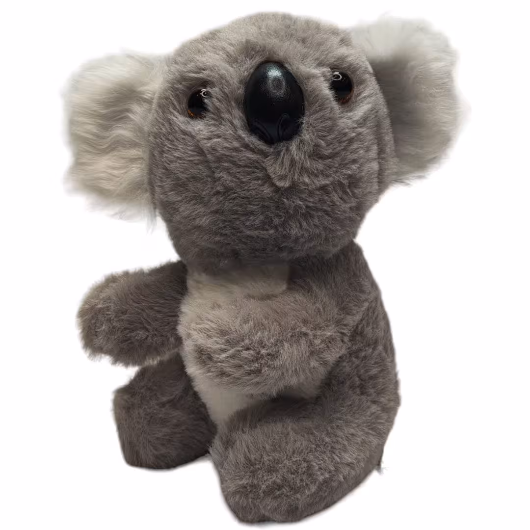 کوالا طبیعی خارجی