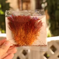 زعفران دخترپیچ قائنات 