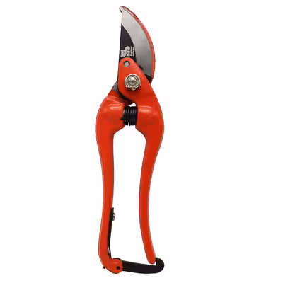 قیچی باغبانی مدل بیگ بر کد YP-PRNR-230MM