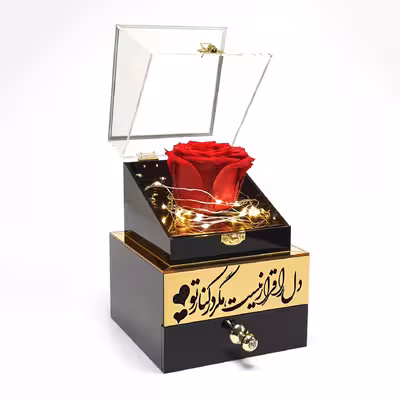 جعبه موزیکال مدل گنجینه طرح دل را قرار نیست