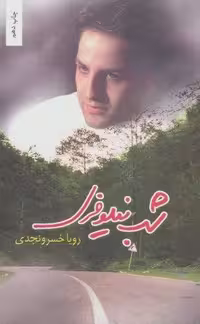 شب نیلوفری (زرکوب،رقعی،یسنا)