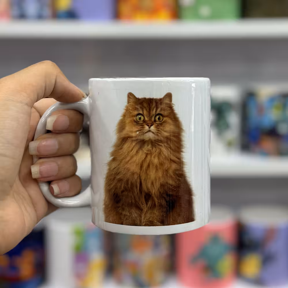 ماگ سرامیکی گربه متعجب