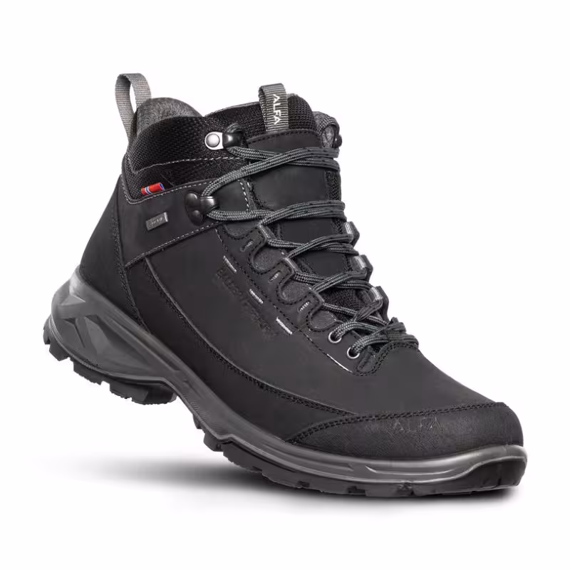 قیمت و خرید کفش پیادروی مردانه مشکی آلفا مدل Balder Perform GTX M اورجینال