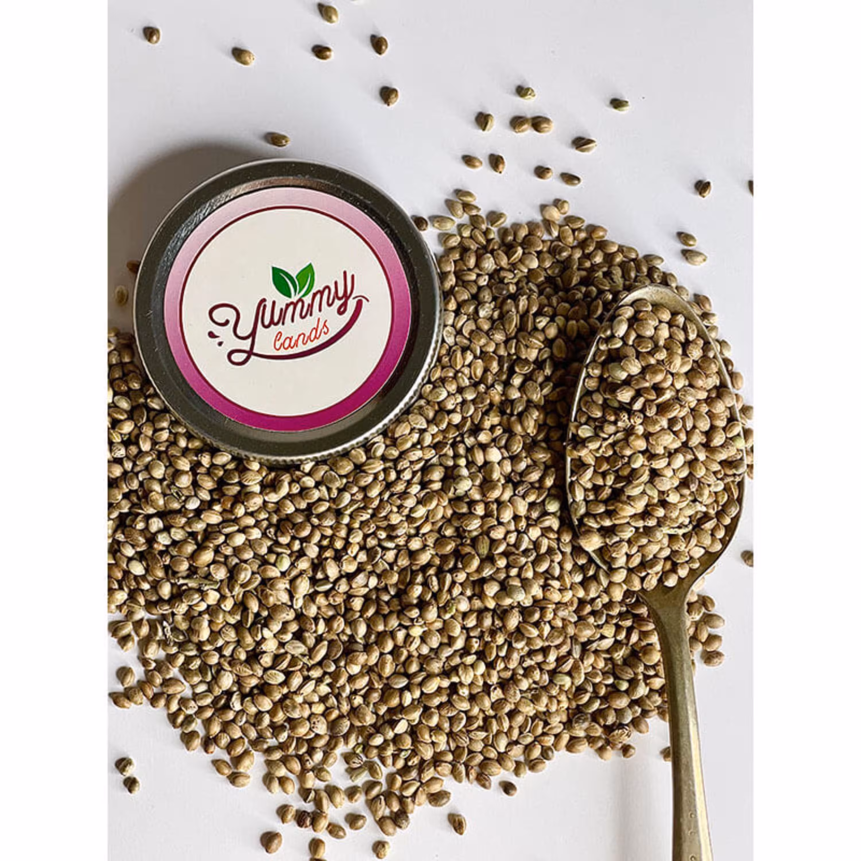 شاهدانه شور