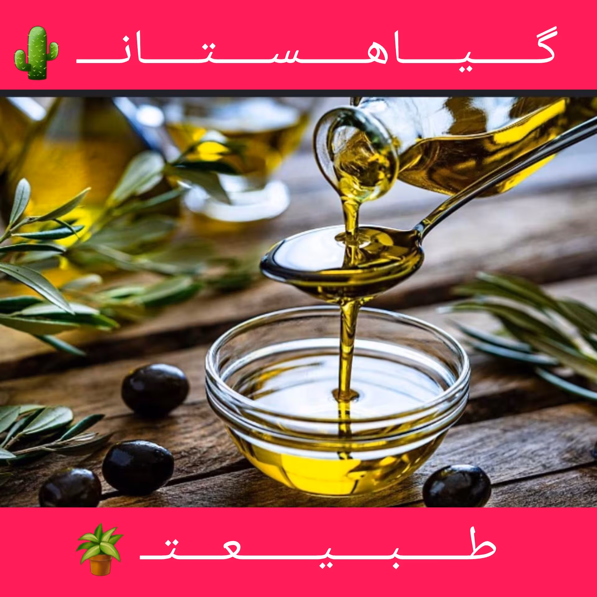 روغن زیتون 100٪خالص(تضمینی)درمانی 1لیتری