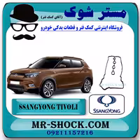 واشر درب سوپاپ سانگ یانگ تیوولی برند اصلی سانگ یانگ موتور با تضمین اصالت