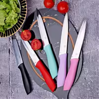 چاقو Paring Knife برند Rooc ترکیه با 4 رنگ مختلف کد VR_05