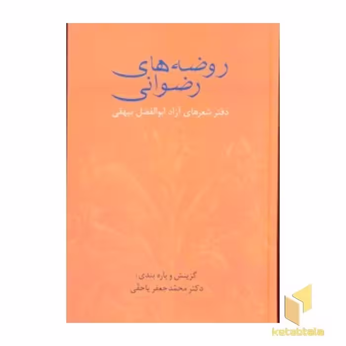 کتاب روضه های رضوانی اثر ابوالفضل بیهقی نشر سخن