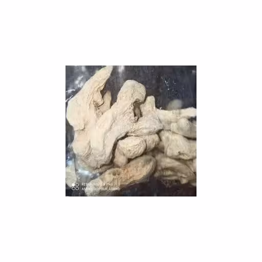 زنجبیل قلم (100گرم)