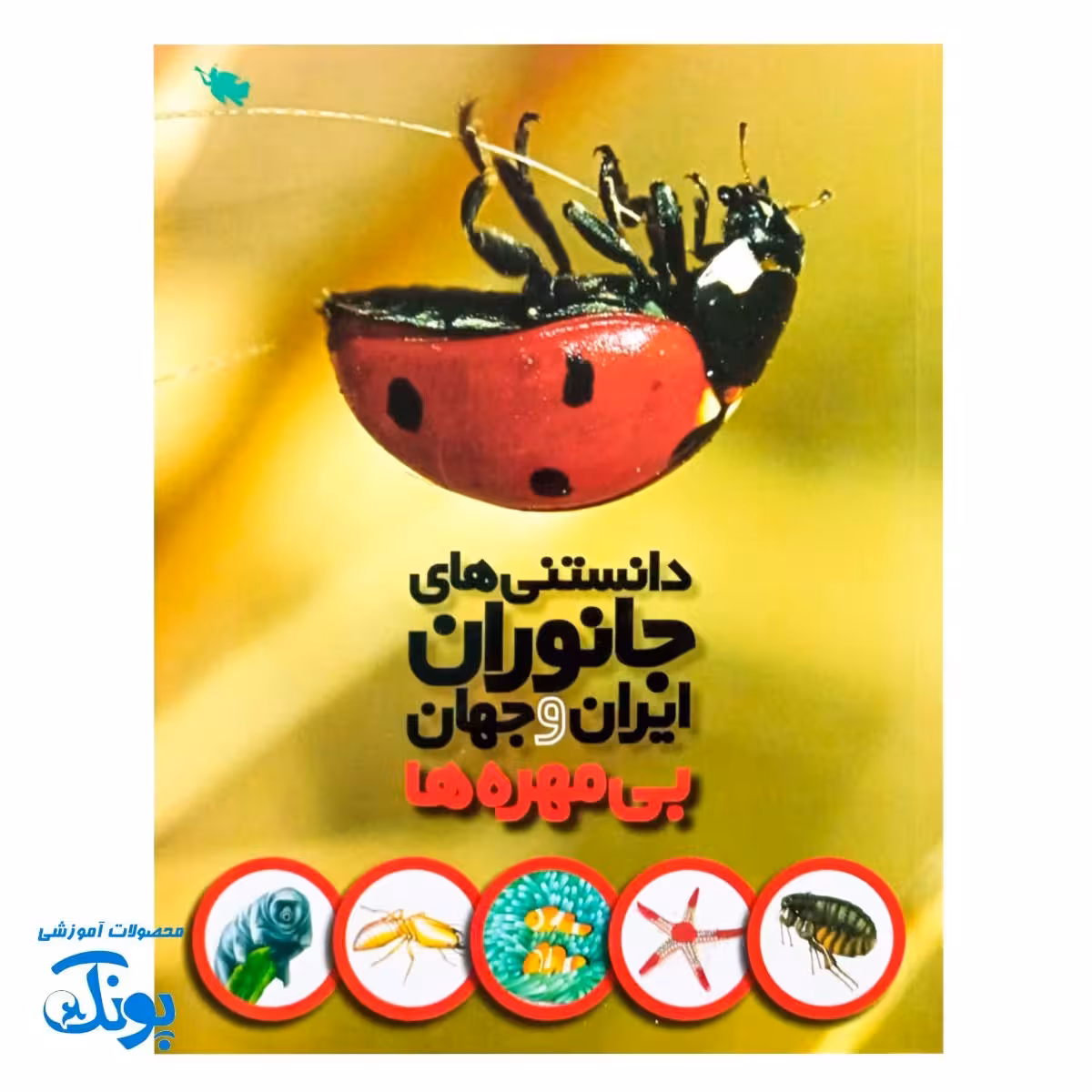 کتاب دانستنی های جانوران ایران و جهان: بی مهره ها