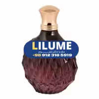 عطر ادکلن ویکتور هوگو اینتنس زنانه 100 میل زنانه