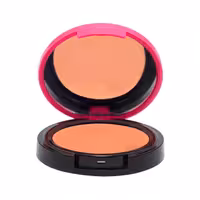 کالیستا رژ گونه کالر اند آرت B02