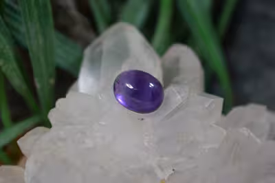 امتیست دامله(کاپوشی)