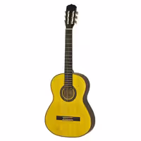 گیتار ARIA AK-25N