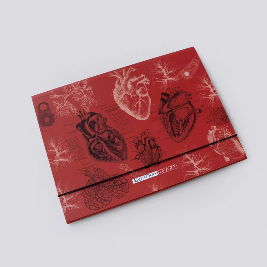 پوشه مقوایی قلب قرمز دات نوت (dotnote)