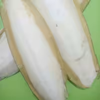 کف دریا (1000گرم)مخصوص پرندگان زینتی