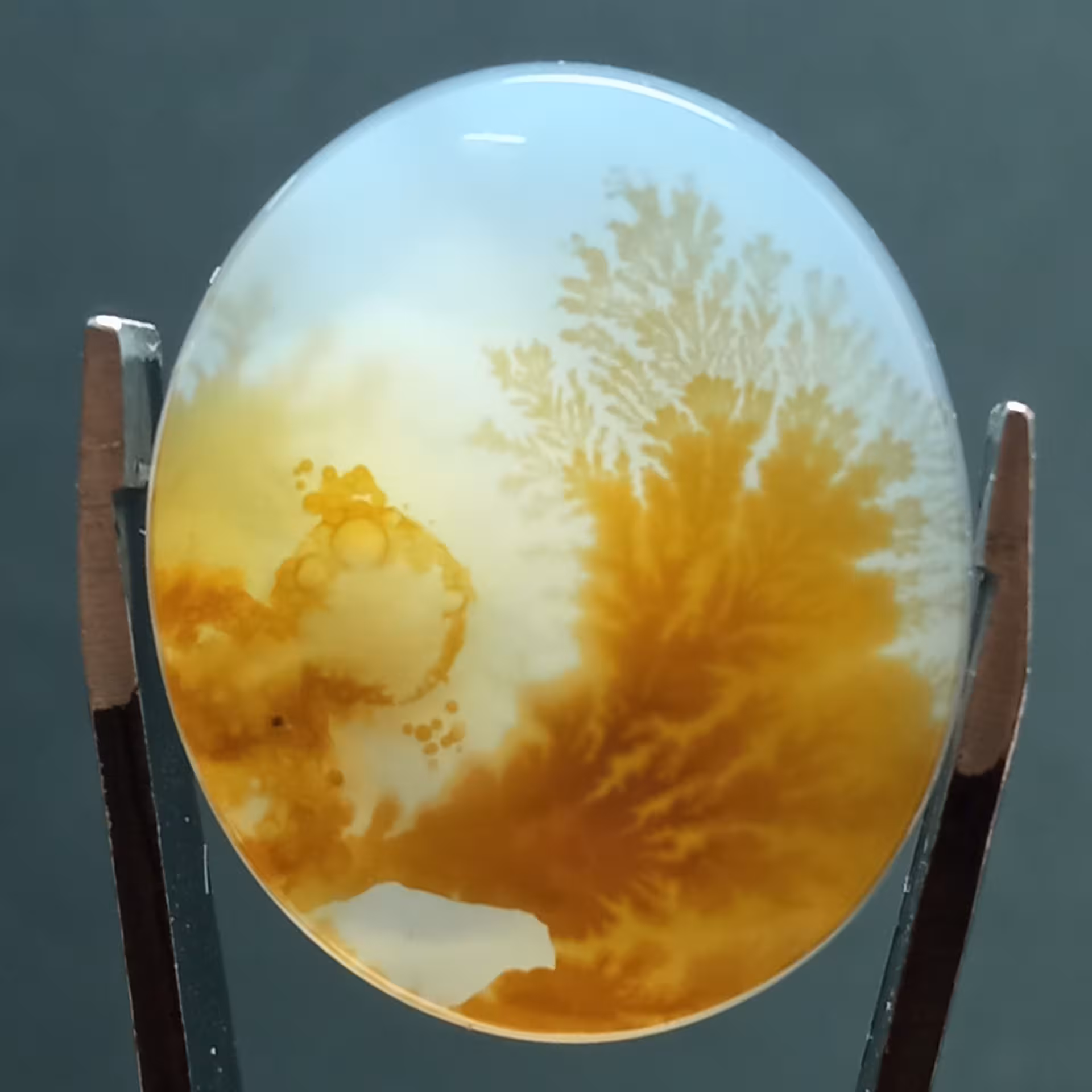 نگین فوق العاده زیبای شجر قائن خوش منظره و زرد مناسب انگشتر و...