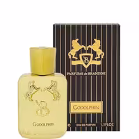 عطر جیبی مردانه برندینی با رایحه گودولفین حجم 33 میلی لیتر