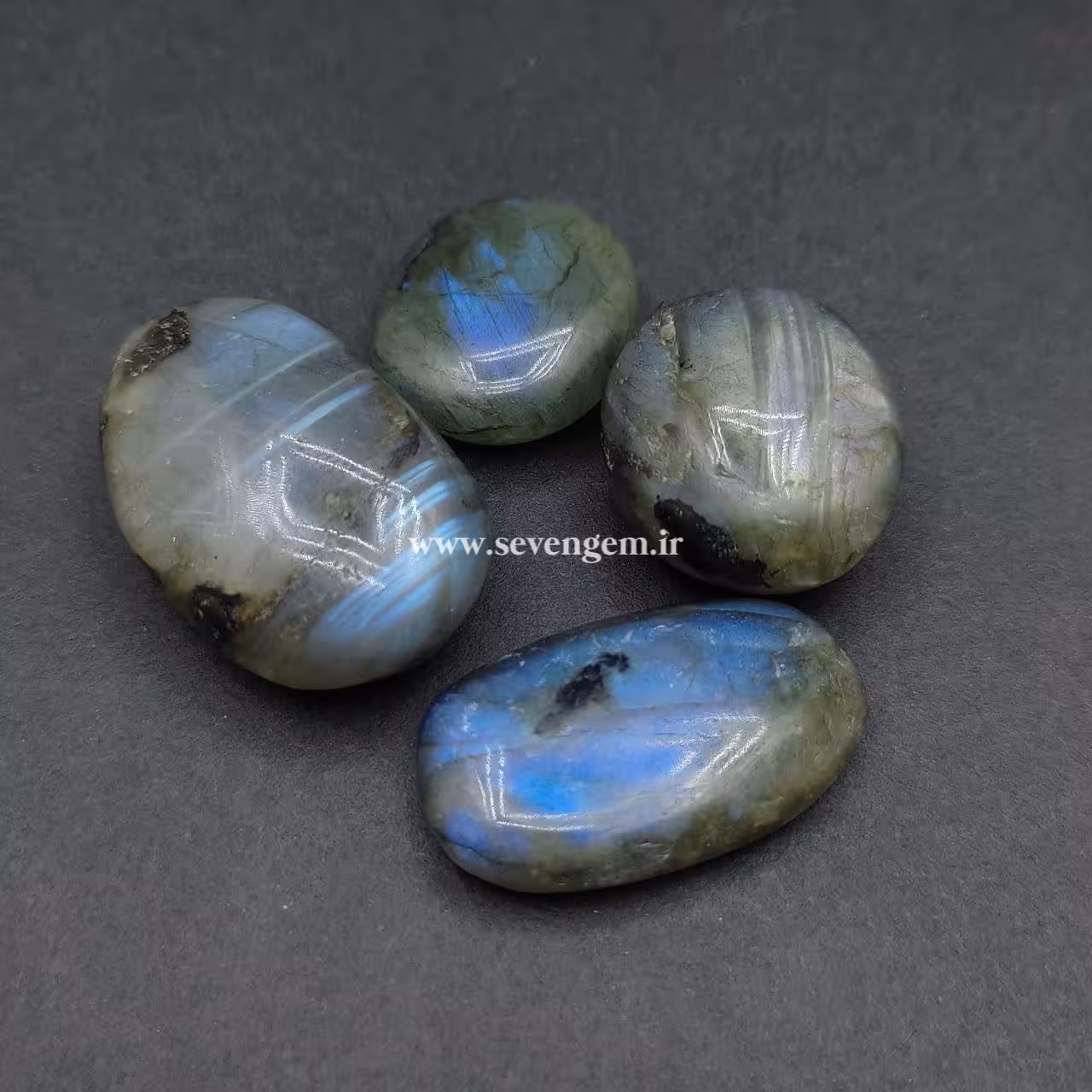 پک تامبل لابرادوریت (کدA927)