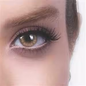 لنز چشم اورجینال رویال ویژن شماره 16 مدل desert ساخت کره جنوبی