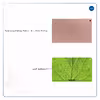 برچسب پوششی ماهوت مدل Leaf-Texture مناسب برای تبلت سامسونگ Galaxy Tab A 10.1 2019 T515